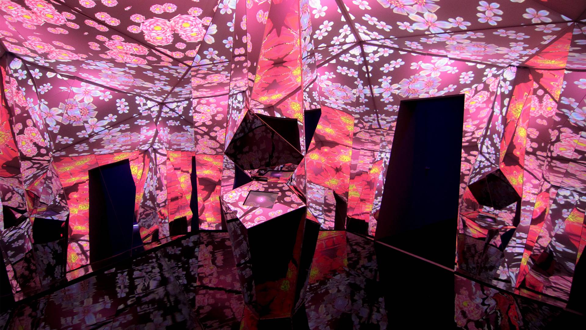 Museum of Feelings: Exhilarated Room, responsive floral kaleidoscope and mirror installation