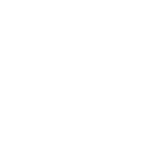 The Mashies
