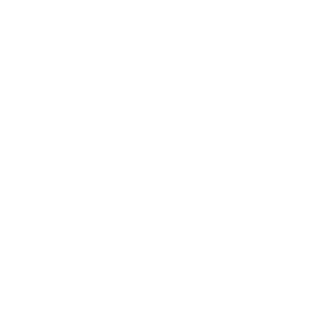 Oscar Nomination