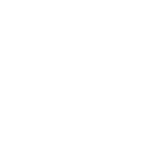 The NAACP Image Awards