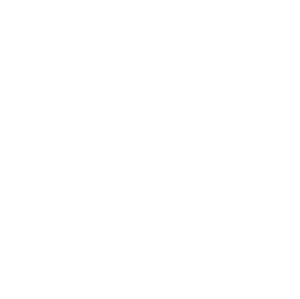 Made in NY Awards