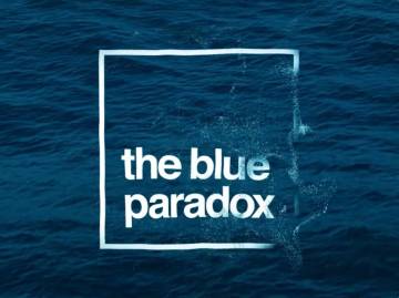 a clean white logo reading 'the blue paradox' partially dissolving into particles, over a deep blue ocean