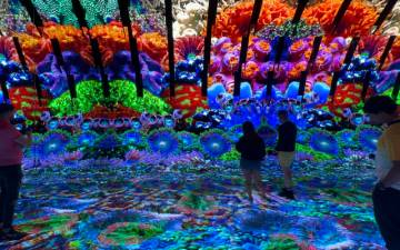 A vibrant coral reef immerses visitors to The Blue Paradox exhibit at the Museum of Science and Industry, Chicago.